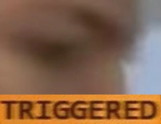 A very blurry image which reads 'Triggered' below it.